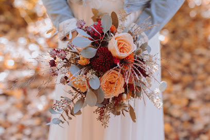 Anne Oehlert Photography
