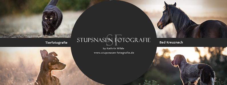 Stupsnasen Fotografie by Kathrin Wilde – Bild 2