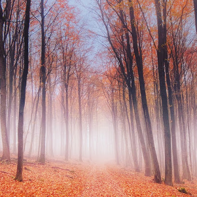 Lars Prignitz Photography