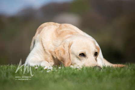 Andrea Mayerhofer Photography – Bild 2