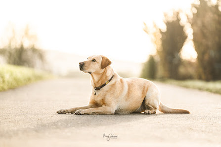 Nina Jahrens Fotografie – Bild 3