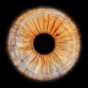 Fotostudio Seitz – Bild 5