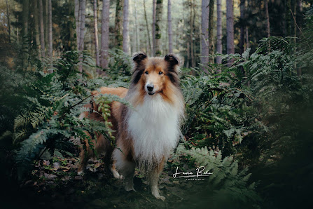 Laura Bohn Photography – Bild 3