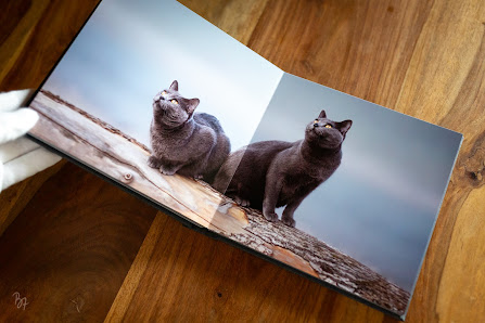 Birgit Zimmermann Fotografie – Bild 4