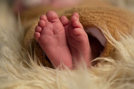 Little Dreams Photography – Bild 2