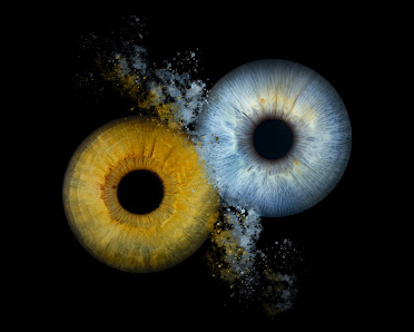 OCULUS REGENSBURG - Professionelle Iris Fotographie – Bild 4