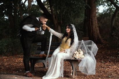 Alan Pictures Production