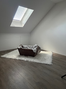 Wiebke Weisbach Fotografie – Bild 2
