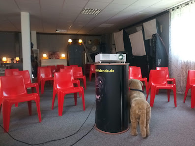 Studio Falk – Bild 3