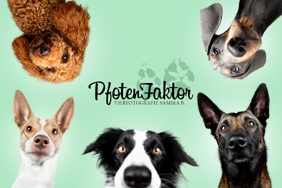 PfotenFaktor Tierfotografie