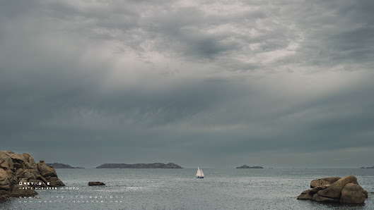wpsteinheisser photography – Bild 4