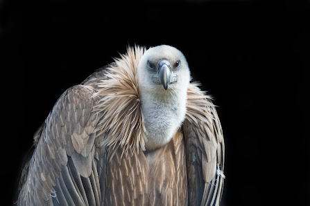 AugenBlick Fotografie – Bild 2