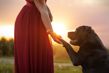 Fellliebe Fotografie- Tierfotografie Larissa Lohmann – Bild 2