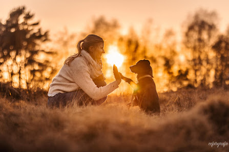 ccfotografie | Fotografie für Hunde & Hochzeiten – Bild 2