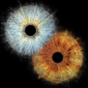 Iris Fotografie Ingolstadt – Bild 6