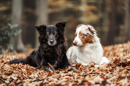 Mader Fotografie – Bild 5