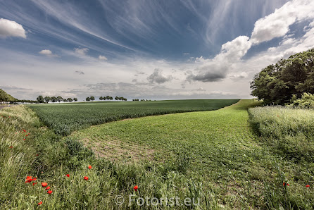 "Fotorist" Matthias Budde – Bild 2