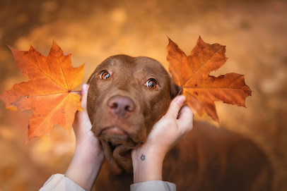 Kathrin Winkler Fotografie
