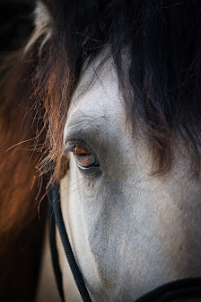 Oliver Lentzen Photografie – Bild 4