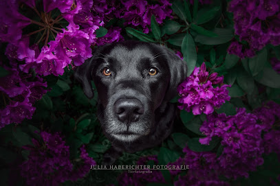 Julia Haberichter Fotografie