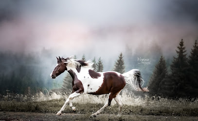 Virginia Photography
