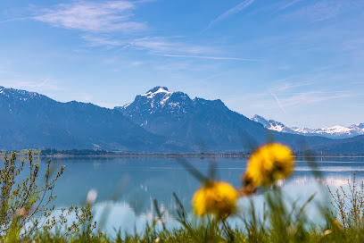 Dennis Siebert Fotografie - Fotografie aus dem Allgäu