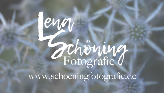 Lena Schöning Fotografie – Bild 2