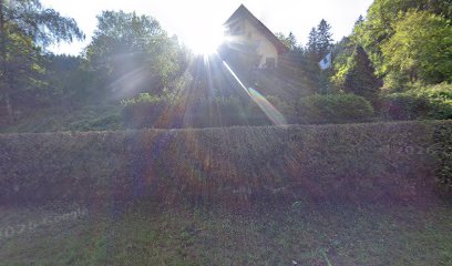Foto-Duett-Wald