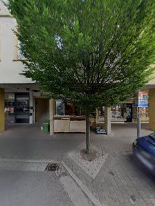 Foto Greif – Bild 4