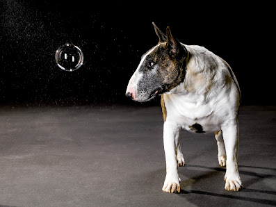 Fotostudio Ute Klein – Bild 7