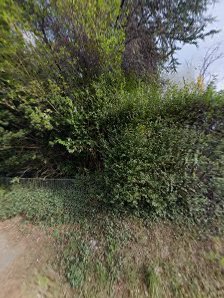 fotoVOMGRAF – Bild 6