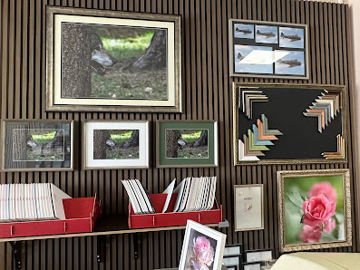 Fotoatelier Katrin Wiegand und Fotolabor – Bild 5
