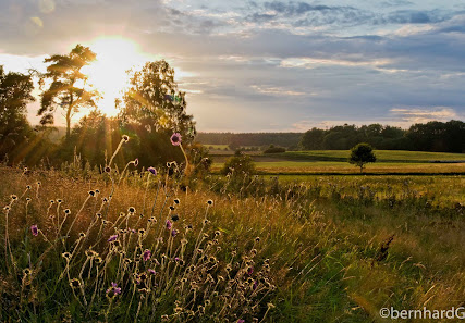 Foto&Net – Bild 3