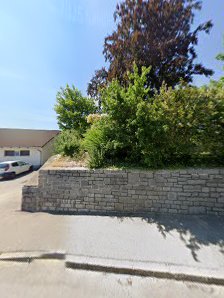 Elagruenfotografie – Bild 2