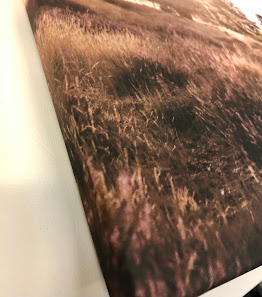 Fotostudio VIP – Bild 7