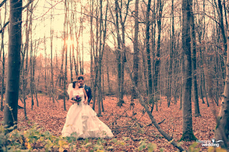 Hochzeitsfotograf Fotograf Alexander Arenz - Lifestylewedding – Bild 4