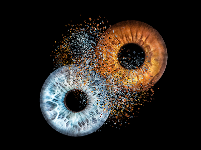 OCULUS REGENSBURG - Professionelle Iris Fotographie – Bild 2