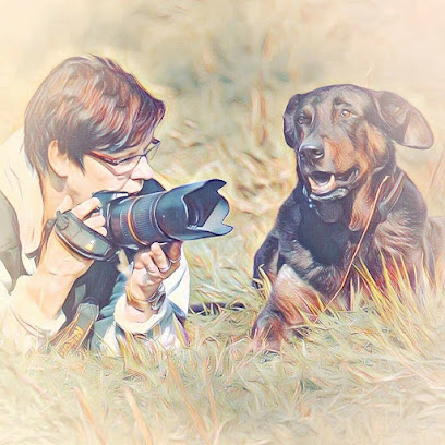 Pfotenphantasie - mobile Fotografie
