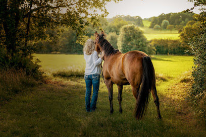 Ines Arnshoff Photography | Exklusive Tierfotografie aus Bremen