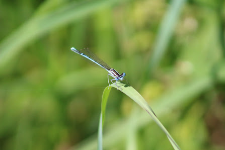 pats photography – Bild 3