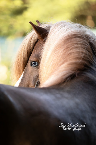 Lisa Bestfleisch Tierfotografie