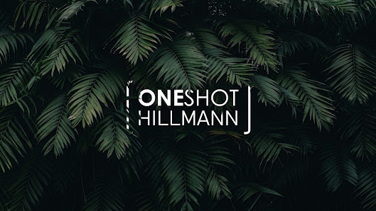 ONESHOT Hillmann – Bild 2