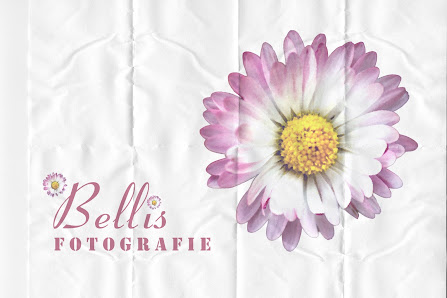 Bellis Fotografie – Bild 2