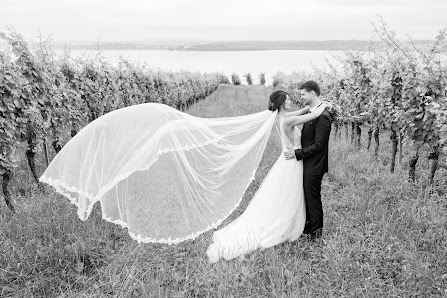 Jan Martin Nölle Photography. – Bild 3