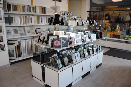 Hobby Foto Braun GmbH – Bild 5