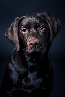 Lichtblick Photography – Bild 4