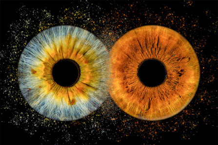 iris-fotografie-frankfurt – Bild 3