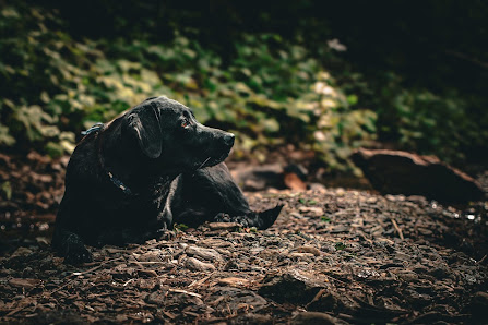 S.Paaß Photography – Fotografin in Solingen – Bild 4