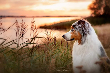 Fotografie Inke Valentin – Bild 5