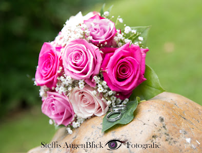 Steffis AugenBlick Fotografie – Bild 4